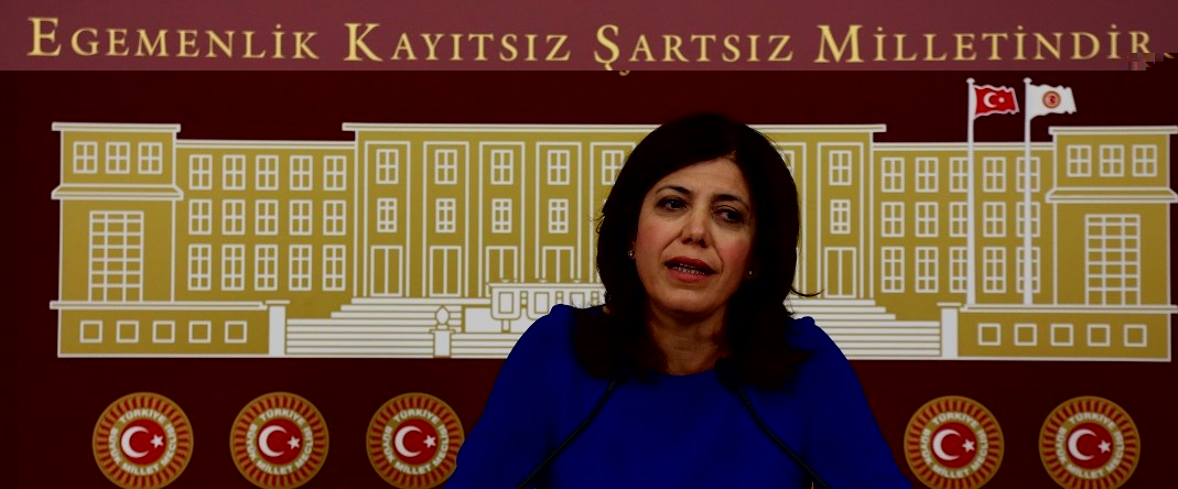 HDP’li Beştaş: İttifaklara karşı değiliz
