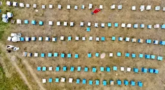 Ağrı’da Kadınlar Arıcılığa Yöneliyor