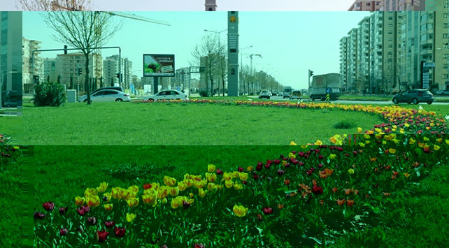 Diyarbakır’da milyonlarca çiçek dikiliyor