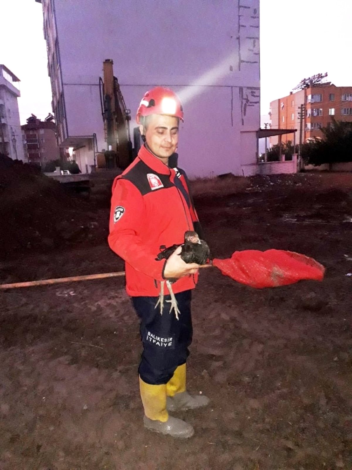 Balıkesir’de horoz kurtarma operasyonu