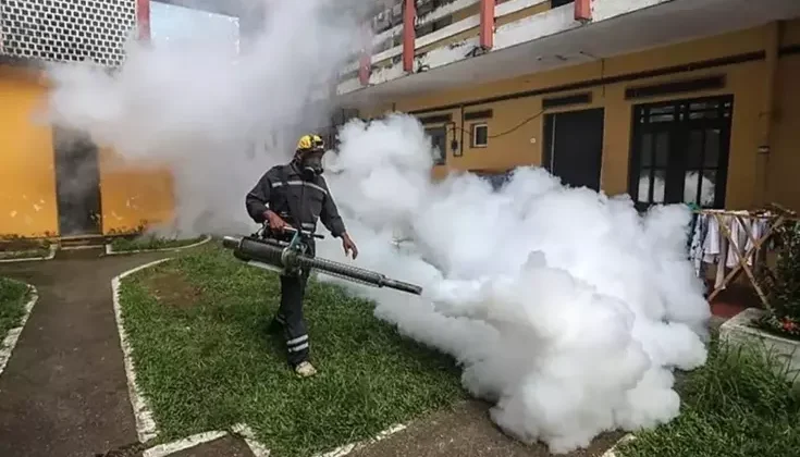 Çin’de 7 binden fazla ‘chikungunya’ virüsü vakası tespit edildi