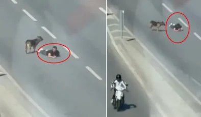 Ana yolun sağ şeridinde sürünerek ilerledi