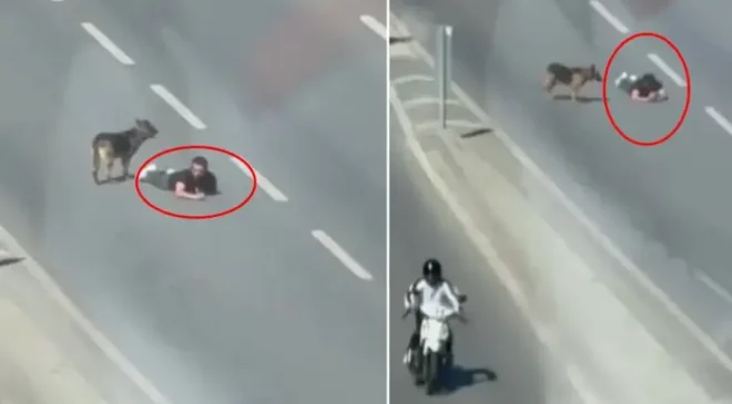 Ana yolun sağ şeridinde sürünerek ilerledi